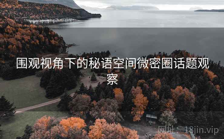 围观视角下的秘语空间微密圈话题观察