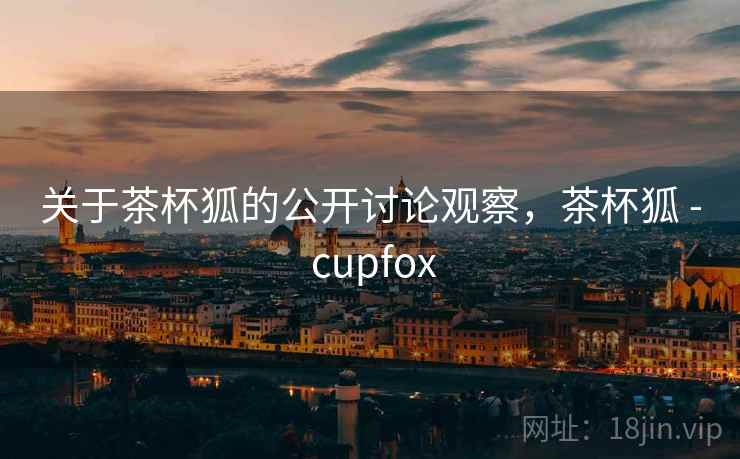 关于茶杯狐的公开讨论观察，茶杯狐 - cupfox