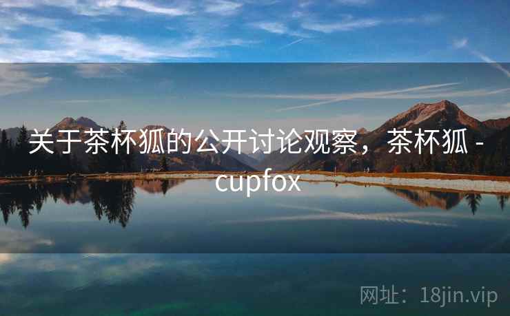 关于茶杯狐的公开讨论观察，茶杯狐 - cupfox