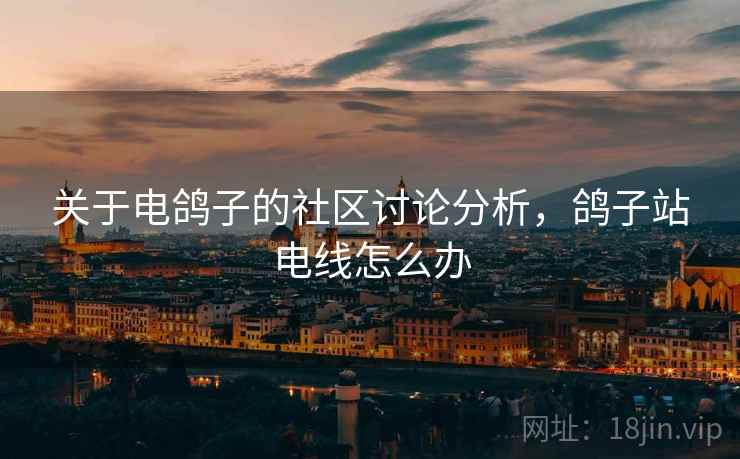 关于电鸽子的社区讨论分析，鸽子站电线怎么办