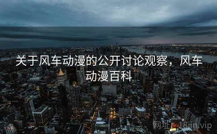 关于风车动漫的公开讨论观察，风车动漫百科