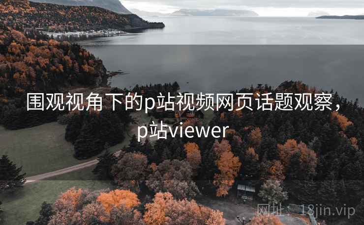 围观视角下的p站视频网页话题观察，p站viewer