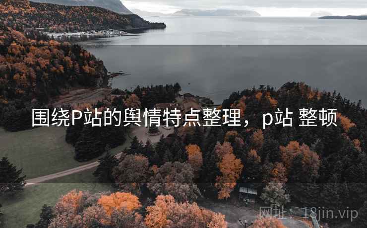 围绕P站的舆情特点整理，p站 整顿