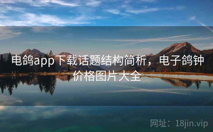 电鸽app下载话题结构简析，电子鸽钟价格图片大全