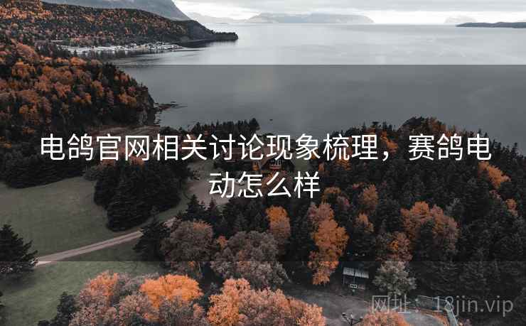 电鸽官网相关讨论现象梳理，赛鸽电动怎么样